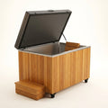 Cold Plunge Tub Built for Daily Recovery, 304 Stainless Steel Basin, Multi-Stage Filtration, Cedar Cabinet
