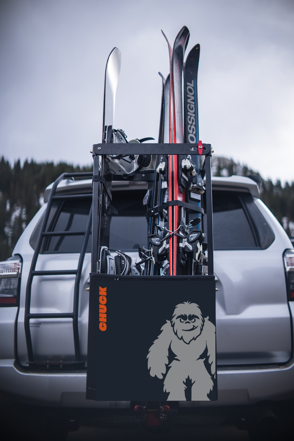 Chuck Rack Bike and Ski Package Deal