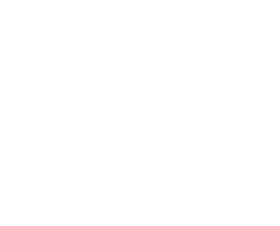 The Prime Athlete Co